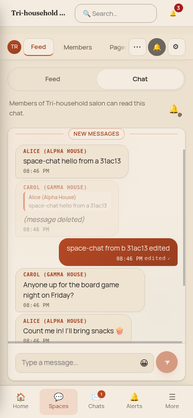 A space's chat on a phone, with messages from members of three different households, an edited message and a deleted reply